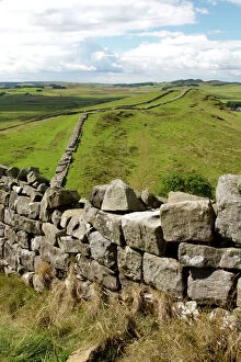 Images Dated 8th May 2007: Hadrians Wall N060591