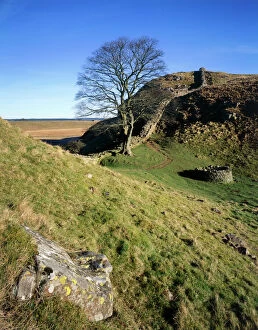 Images Dated 3rd April 2008: Hadrians Wall: Sycamore Gap J080007