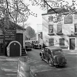 : Hampstead Heath aa071877