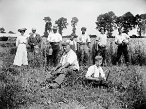 Harvest time, Lower Cadsden, Buckinghamshire a97_05316
