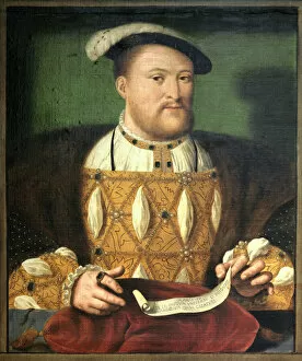 Royal portraits Collection: Henry VIII J010074