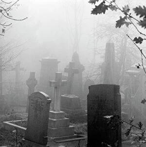 Halloween Collection: Highgate Cemetery a073625