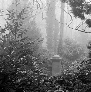 Images Dated 22nd December 2010: Highgate Cemetery a074548