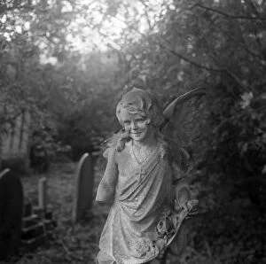 Halloween Collection: Highgate Cemetery a074756