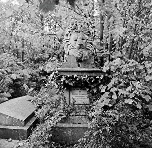: Highgate Cemetery aa074378