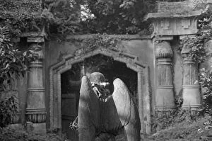 Images Dated 22nd December 2010: Highgate Cemetery MF001688_27