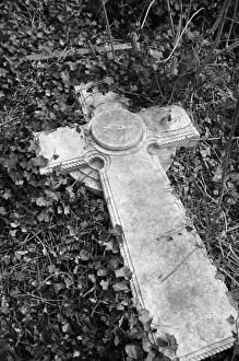 Grave Yard Collection: Highgate Cemetery MF001691_01