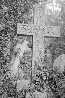 Images Dated 21st January 2011: Highgate Cemetery MF001803_30