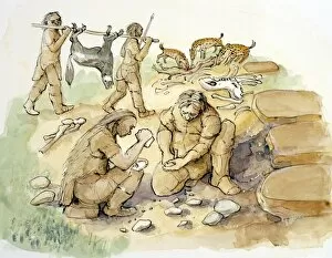 Prehistory Illustrations Collection: Hominids and Hyenas J010060