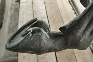 Statue Collection: Hoof detail DP171739