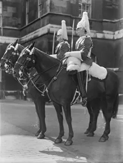 Animals: Horses Collection: Horse Guards CXP01_01_145
