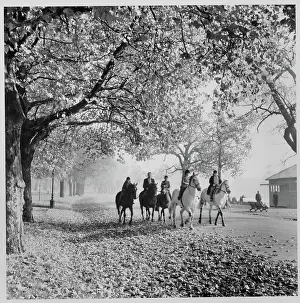 : Horse Riding in Hyde Park lrm01_01_209