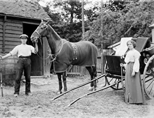 Victorian people and costumes Collection: Horse and Trap BB98_10628