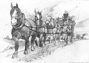 Monastic Collection: Horses pulling cart IC086_019
