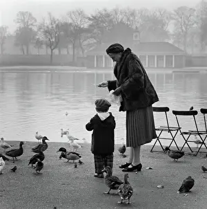 Photographer Prints: Hyde Park aa099141