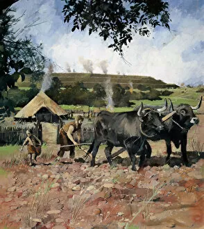 Farming Collection: Iron Age farming N080555