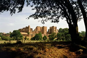 Field Collection: Kenilworth Castle K900477