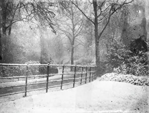 Snow Collection: Kensington Gardens MCF01_02_0088