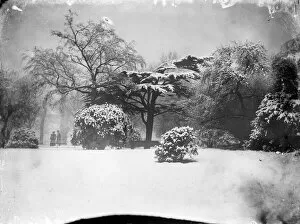 Snow Collection: Kensington Gardens MCF01_02_0090