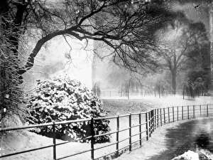 Snow Collection: Kensington Gardens MCF01_02_0091