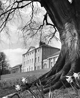 Spring Collection: Kenwood House OP04508