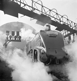 Railway Collection: Kingfisher steam train, Flying Scotsman service a062841
