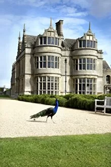 Animals: Birds Collection: Kirby Hall N071554