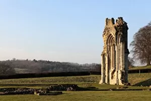 Images Dated 8th March 2011: Kirkham Priory N110094