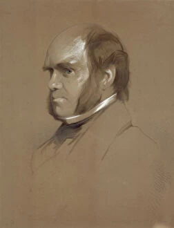 Down House paintings Collection: Laurence - Charles Darwin J970202