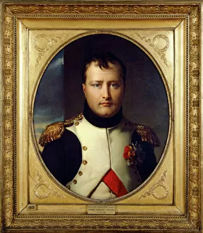 Paintings Collection: Lefevre - Napoleon Bonaparte J040036