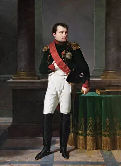 Paintings Collection: Lefevre - Napoleon Bonaparte N070468