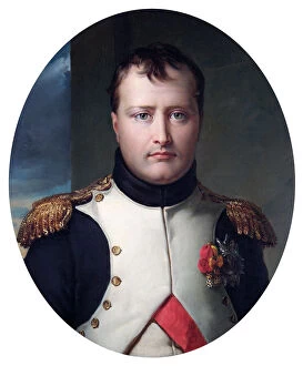 Royal portraits Collection: Lefevre - Napoleon Bonaparte N070490
