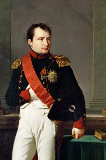 Royal portraits Collection: Lefevre - Napoleon K050089