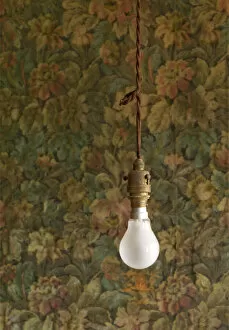 Wall Paper Collection: Light bulb, J. W. Evans N080197