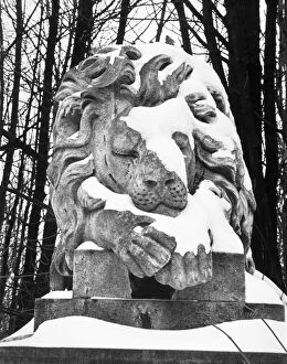 Snow Collection: Lion statue, Highgate Cemetery OP04501