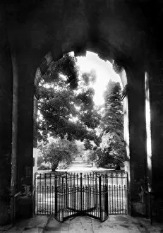 Gate Collection: Main gate, Botanic Garden, Oxford CC50_00369