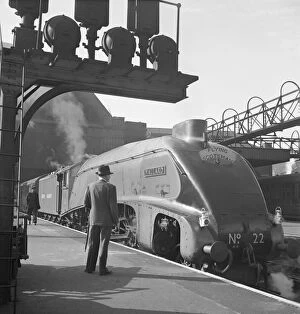 Transport Collection: Mallard steam train, Flying Scotsman service a062835