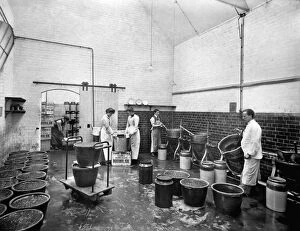 Henry Taunt Collection (1860-1922) Collection: Marmalade factory, Oxford CC66_00389
