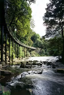 River Collection: Millennium Walkway, Derbyshire K031256
