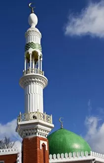 Islam Collection: Minaret and dome DP148072