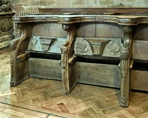 Images Dated 2nd December 2022: Misericords DP044774