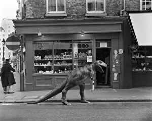 Humour Collection: Model dinosaur, 1 Russell Street, Covent Garden DD004683