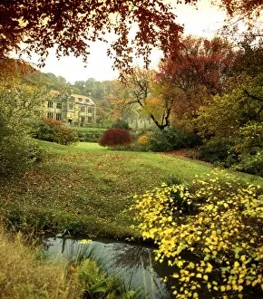 Foliage Collection: Mount Grace Priory Manor House K971943