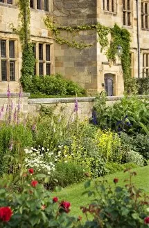 Other Gardens Collection: Mount Grace Priory N071169