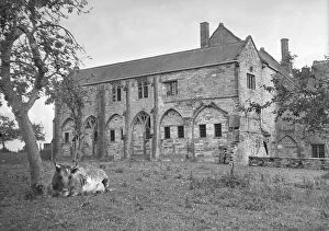Buttress Collection: Muchelney Abbey a71_00456