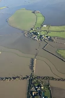 Flood Collection: Muchelney flooding 27898_008