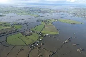 Images Dated 9th January 2014: Muchelney flooding 27898_021