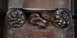 Misericords Collection: Mythical beast DP101592