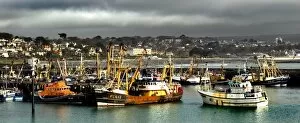 Seaside Collection: Newlyn Fishing Port N061030