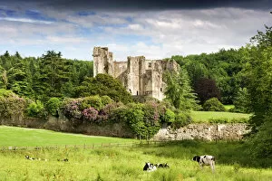 Ruin Collection: Old Wardour Castle N090397